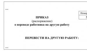 Приказ о переводе на другую должность: его образец и правильное составление